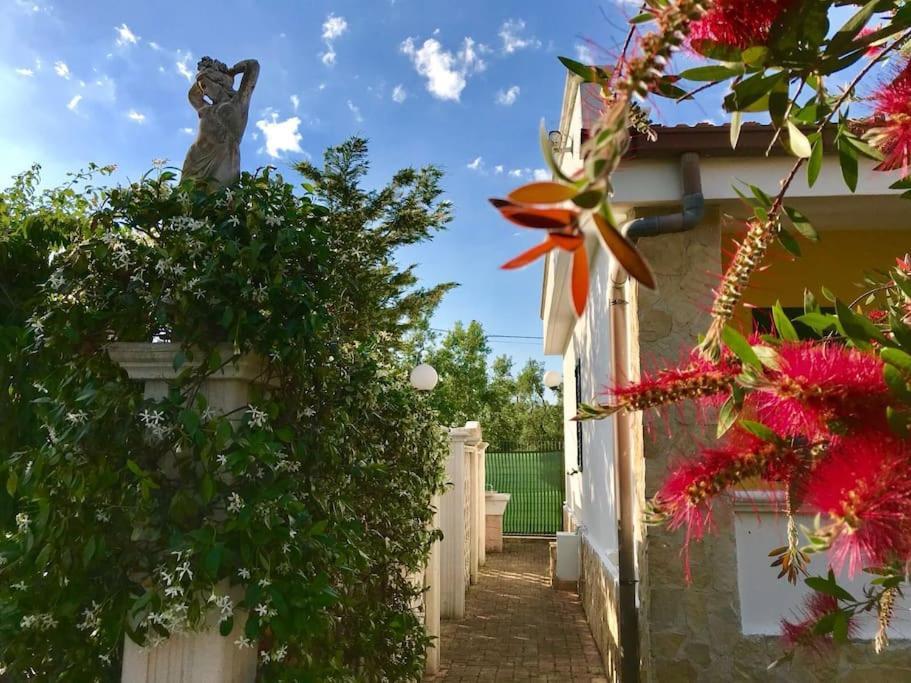 Villa I Gemelli Vieste Exterior photo